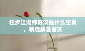 独步江湖称好汉是什么生肖，精选解答落实