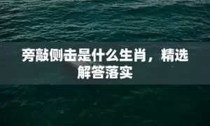 旁敲侧击是什么生肖，精选解答落实