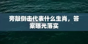 旁敲侧击代表什么生肖，答案曝光落实