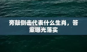 旁敲侧击代表什么生肖，答案曝光落实