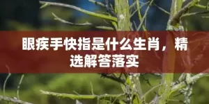 眼疾手快指是什么生肖，精选解答落实