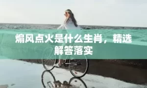 煽风点火是什么生肖，精选解答落实