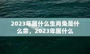 2023年属什么生肖兔是什么命，2023年属什么