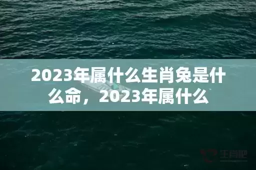 2023年属什么生肖兔是什么命,2023年属什么 2023年属什么生肖兔是什么命,2023年属什么