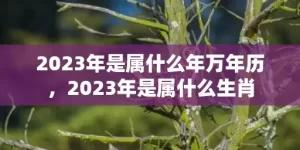 2023年是属什么年万年历，2023年是属什么生肖