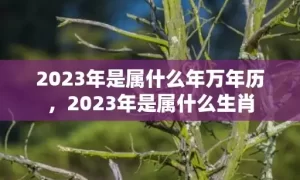 2023年是属什么年万年历，2023年是属什么生肖