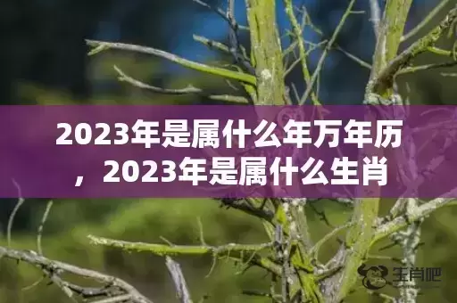 2023年是属什么年万年历，2023年是属什么生肖