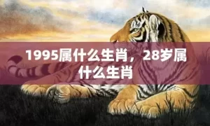 1995属什么生肖，28岁属什么生肖