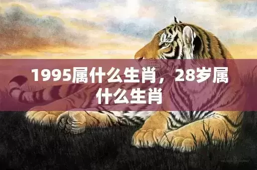 1995属什么生肖，28岁属什么生肖