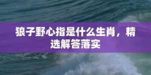 狼子野心指是什么生肖，精选解答落实