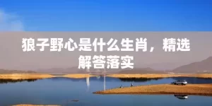 狼子野心是什么生肖，精选解答落实