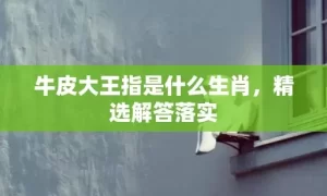 牛皮大王指是什么生肖，精选解答落实