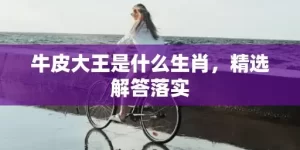 牛皮大王是什么生肖，精选解答落实