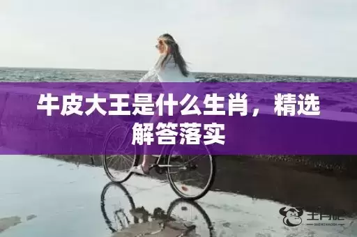 牛皮大王是什么生肖，精选解答落实