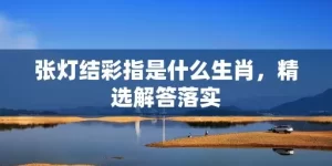 张灯结彩指是什么生肖，精选解答落实