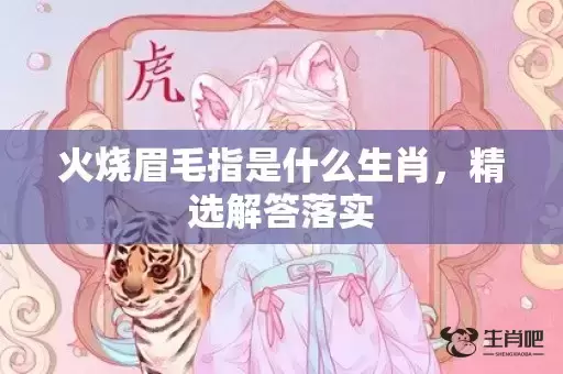 火烧眉毛指是什么生肖，精选解答落实