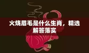 火烧眉毛是什么生肖，精选解答落实