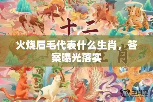 火烧眉毛代表什么生肖，答案曝光落实