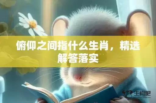 俯仰之间指什么生肖，精选解答落实