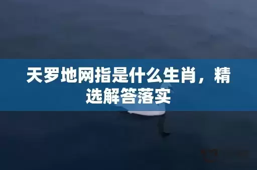 天罗地网指是什么生肖，精选解答落实