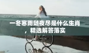 一冬寒雨随夜尽是什么生肖，精选解答落实