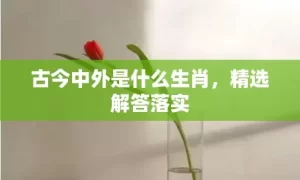 古今中外是什么生肖，精选解答落实