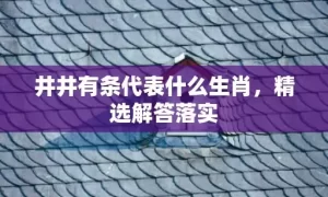 井井有条代表什么生肖，精选解答落实