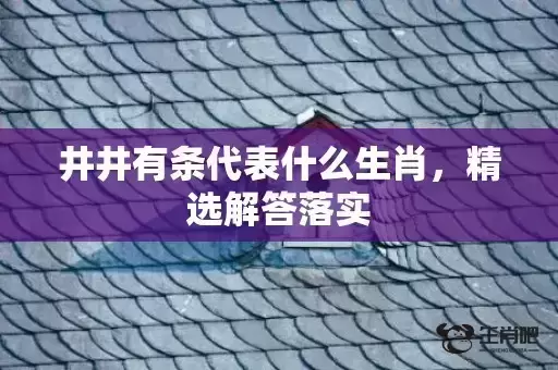 井井有条代表什么生肖，精选解答落实