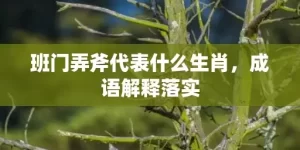 班门弄斧代表什么生肖，成语解释落实