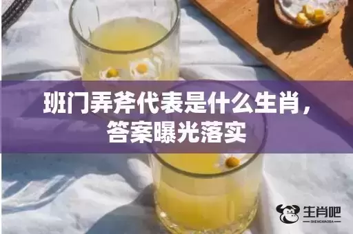 班门弄斧代表是什么生肖，答案曝光落实