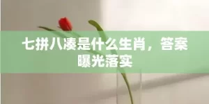 七拼八凑是什么生肖，答案曝光落实