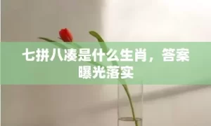 七拼八凑是什么生肖，答案曝光落实