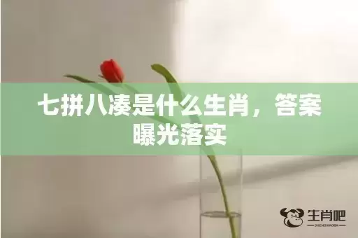 七拼八凑是什么生肖,答案曝光落实 七拼八凑是什么生肖,答案曝光落实