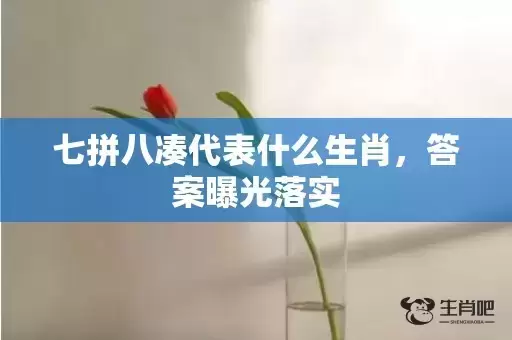 七拼八凑代表什么生肖，答案曝光落实