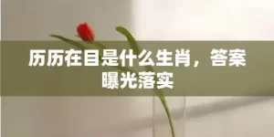 历历在目是什么生肖，答案曝光落实