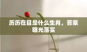 历历在目是什么生肖，答案曝光落实