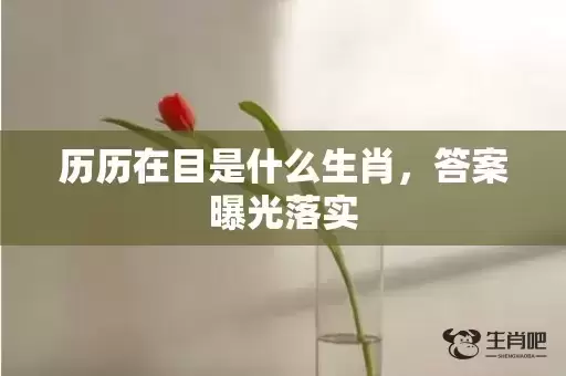 历历在目是什么生肖，答案曝光落实