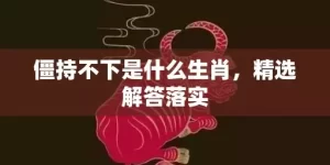 僵持不下是什么生肖，精选解答落实