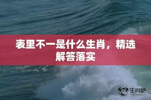 表里不一是什么生肖,精选解答落实 表里不一是什么生肖,精选解答落实