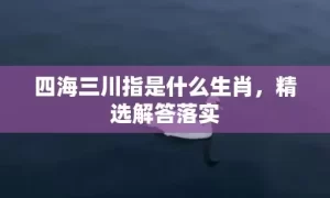 四海三川指是什么生肖，精选解答落实