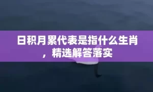 日积月累代表是指什么生肖，精选解答落实