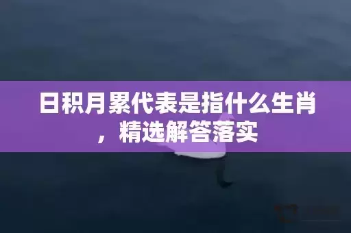 日积月累代表是指什么生肖，精选解答落实