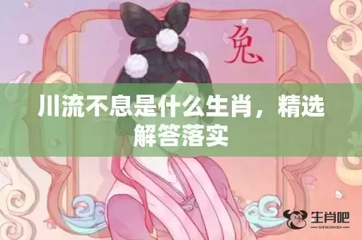 川流不息是什么生肖，精选解答落实