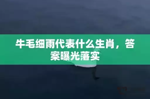 牛毛细雨代表什么生肖,答案曝光落实 牛毛细雨代表什么生肖,答案曝光落实
