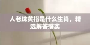 人老珠黄指是什么生肖，精选解答落实