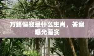 万籁俱寂是什么生肖，答案曝光落实