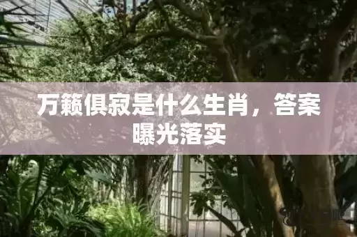 万籁俱寂是什么生肖，答案曝光落实