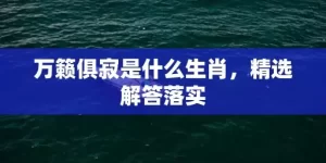 万籁俱寂是什么生肖，精选解答落实