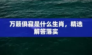 万籁俱寂是什么生肖，精选解答落实