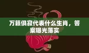 万籁俱寂代表什么生肖，答案曝光落实